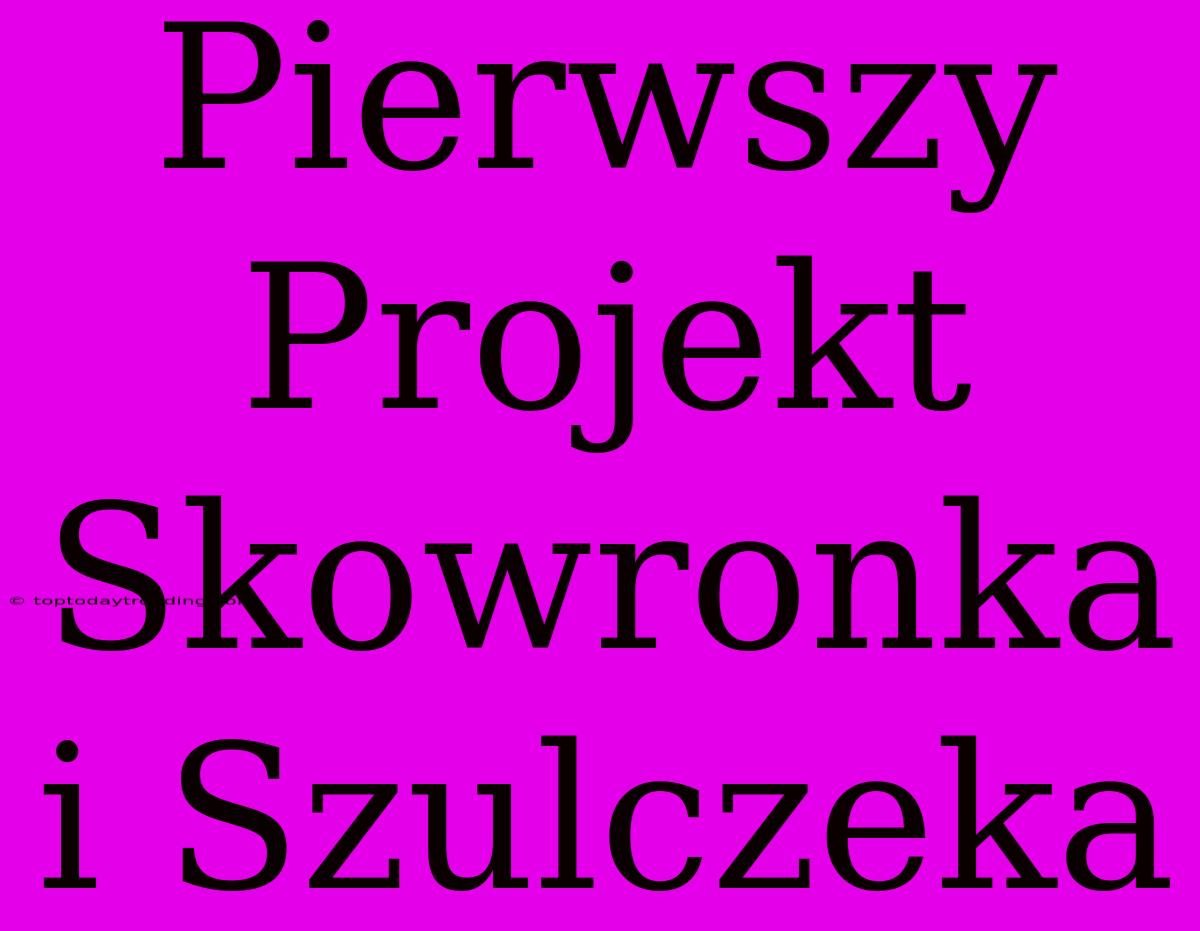 Pierwszy Projekt Skowronka I Szulczeka