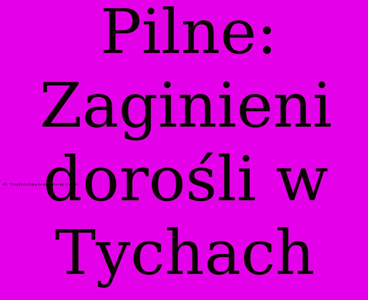 Pilne: Zaginieni Dorośli W Tychach