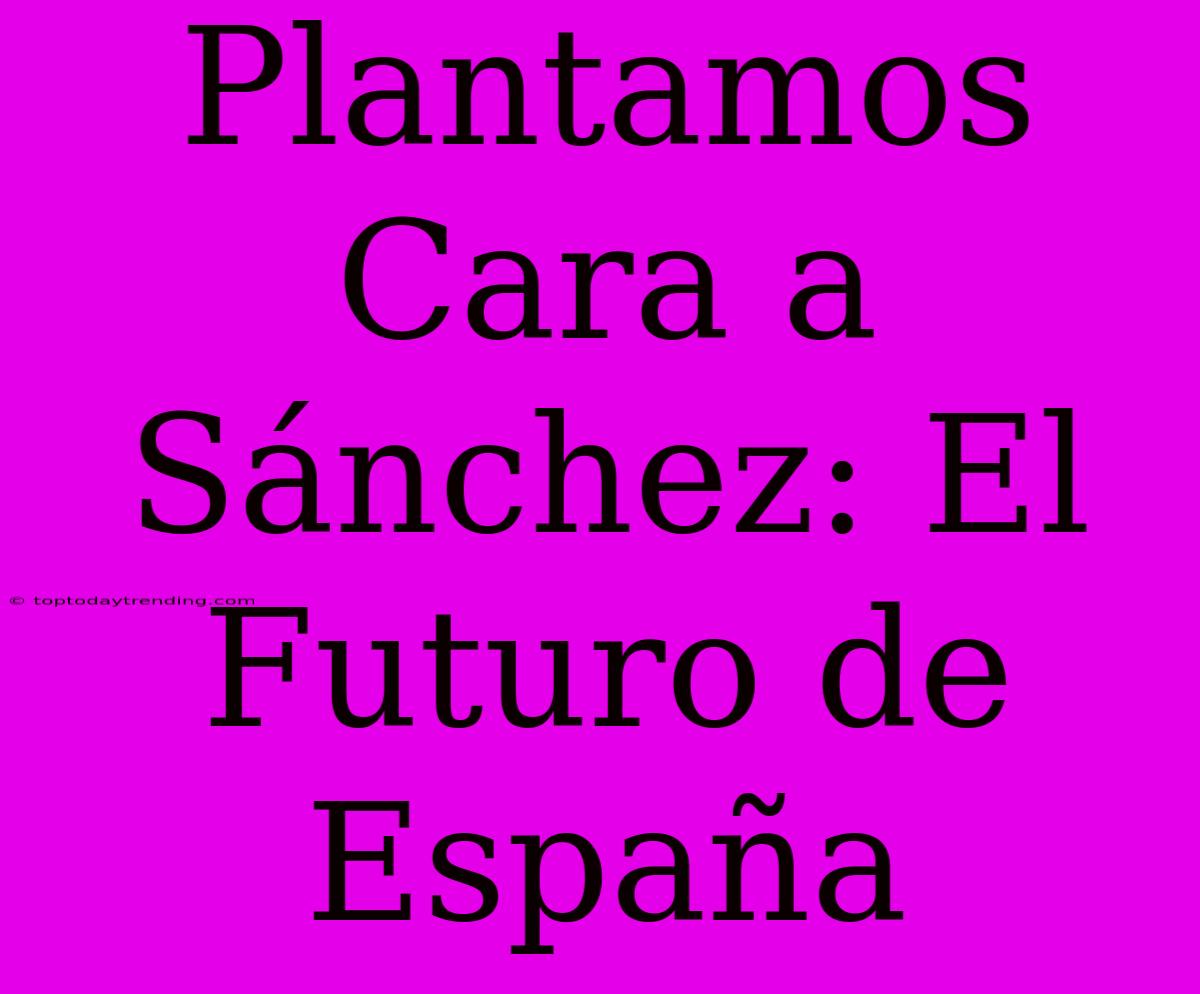 Plantamos Cara A Sánchez: El Futuro De España