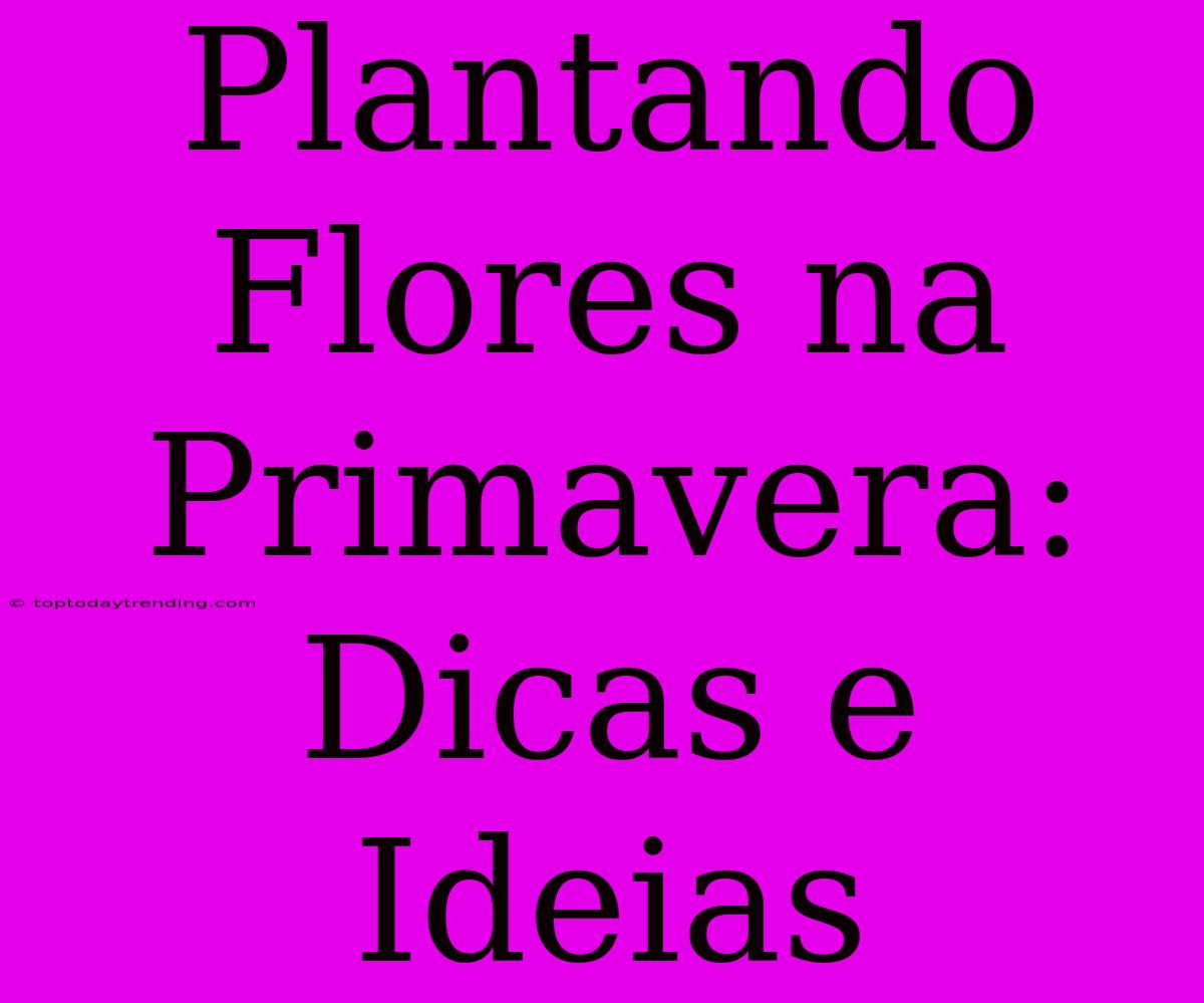 Plantando Flores Na Primavera: Dicas E Ideias