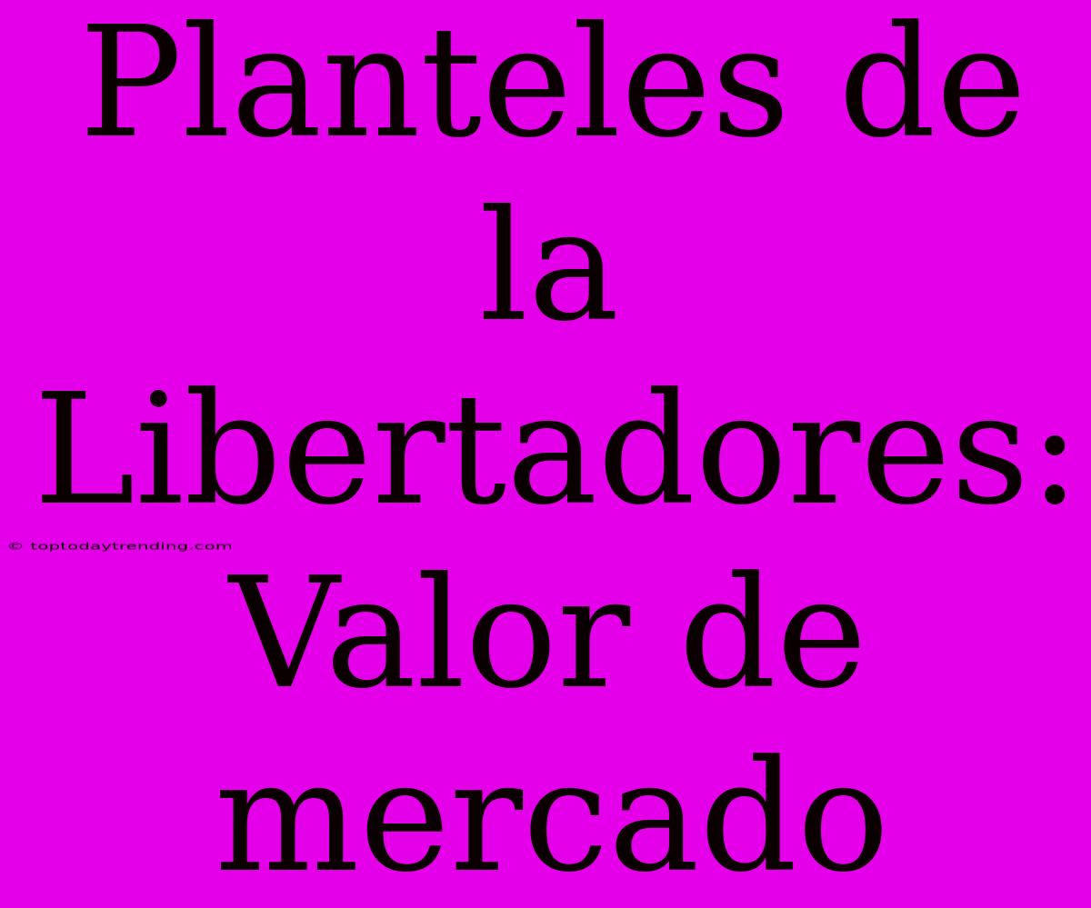 Planteles De La Libertadores: Valor De Mercado