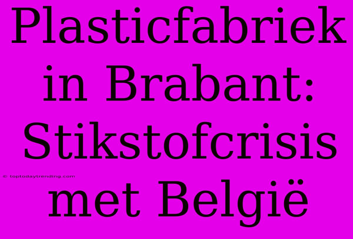 Plasticfabriek In Brabant: Stikstofcrisis Met België