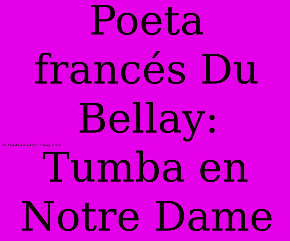 Poeta Francés Du Bellay: Tumba En Notre Dame