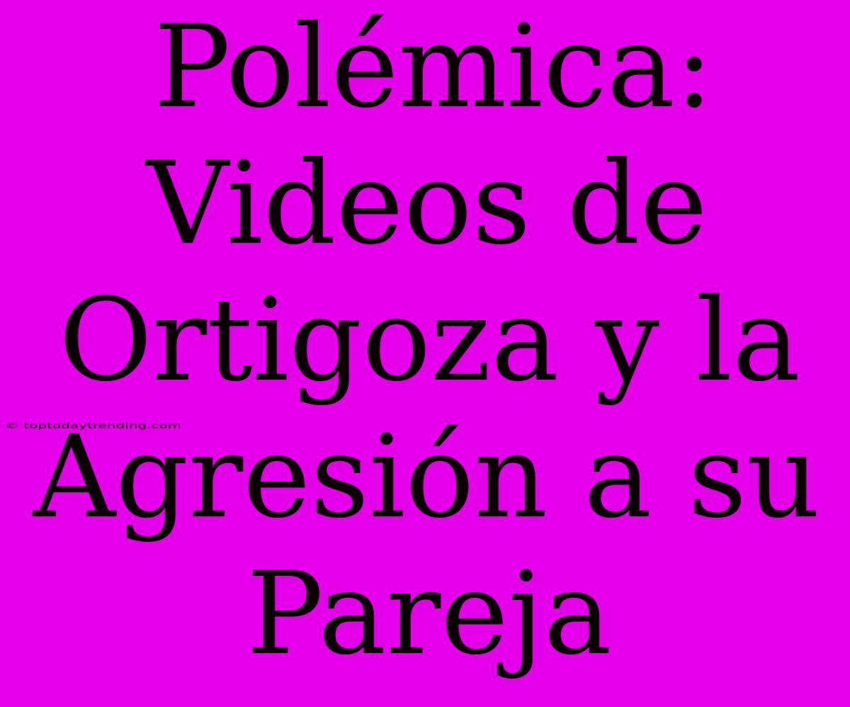 Polémica: Videos De Ortigoza Y La Agresión A Su Pareja