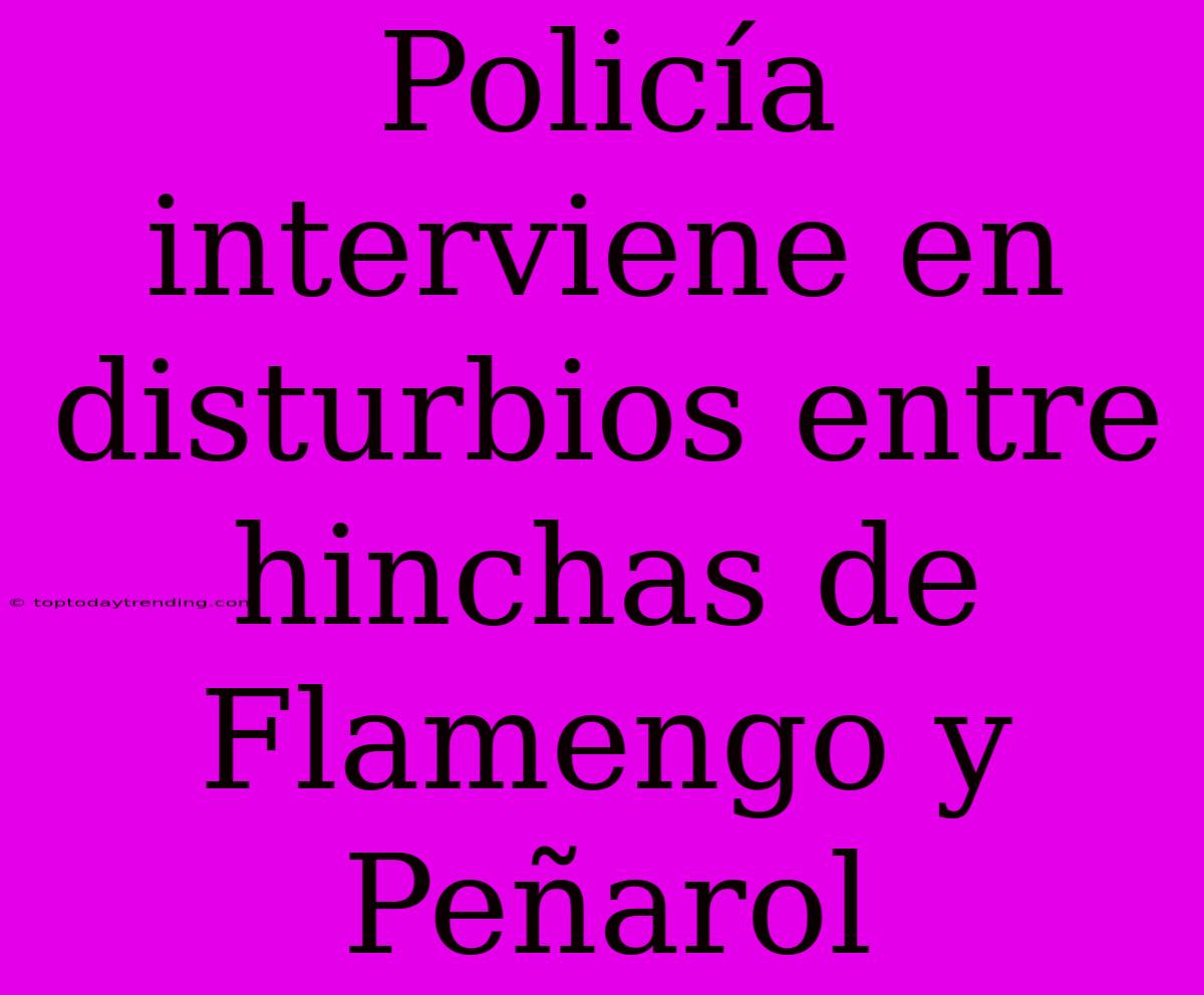 Policía Interviene En Disturbios Entre Hinchas De Flamengo Y Peñarol