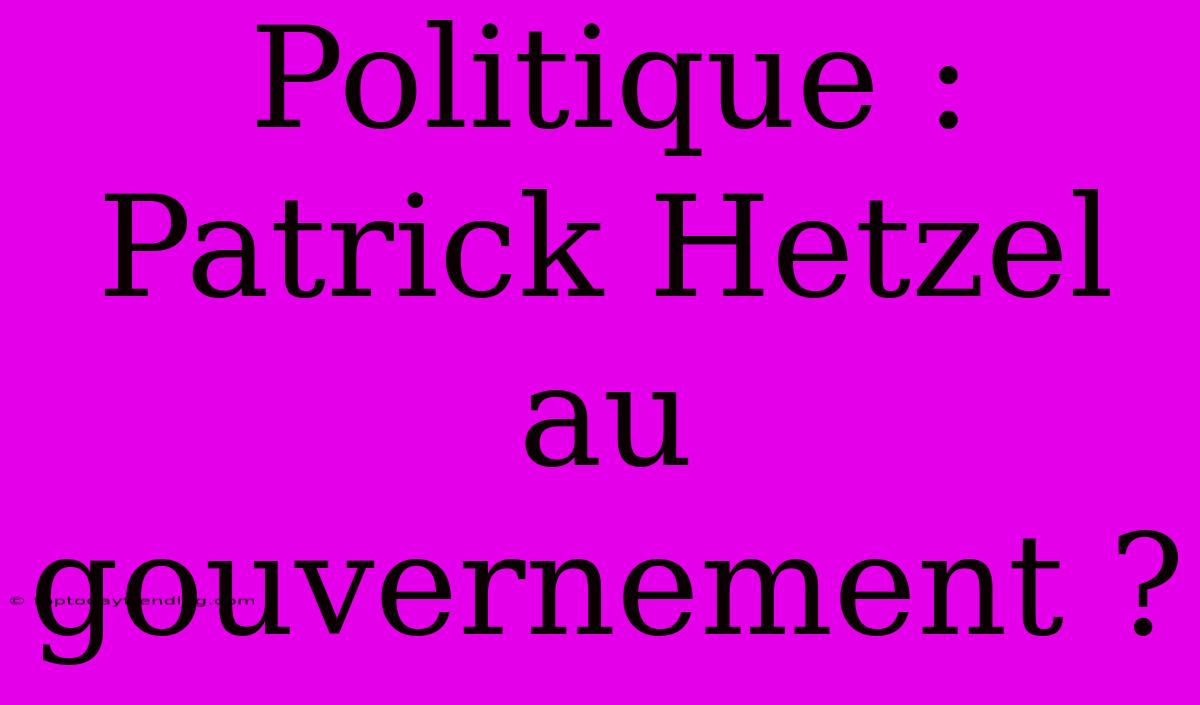 Politique : Patrick Hetzel Au Gouvernement ?