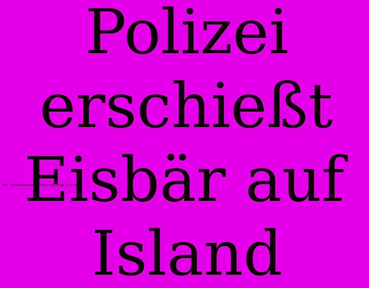 Polizei Erschießt Eisbär Auf Island