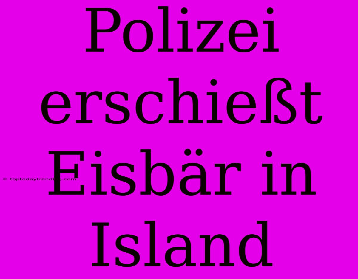 Polizei Erschießt Eisbär In Island