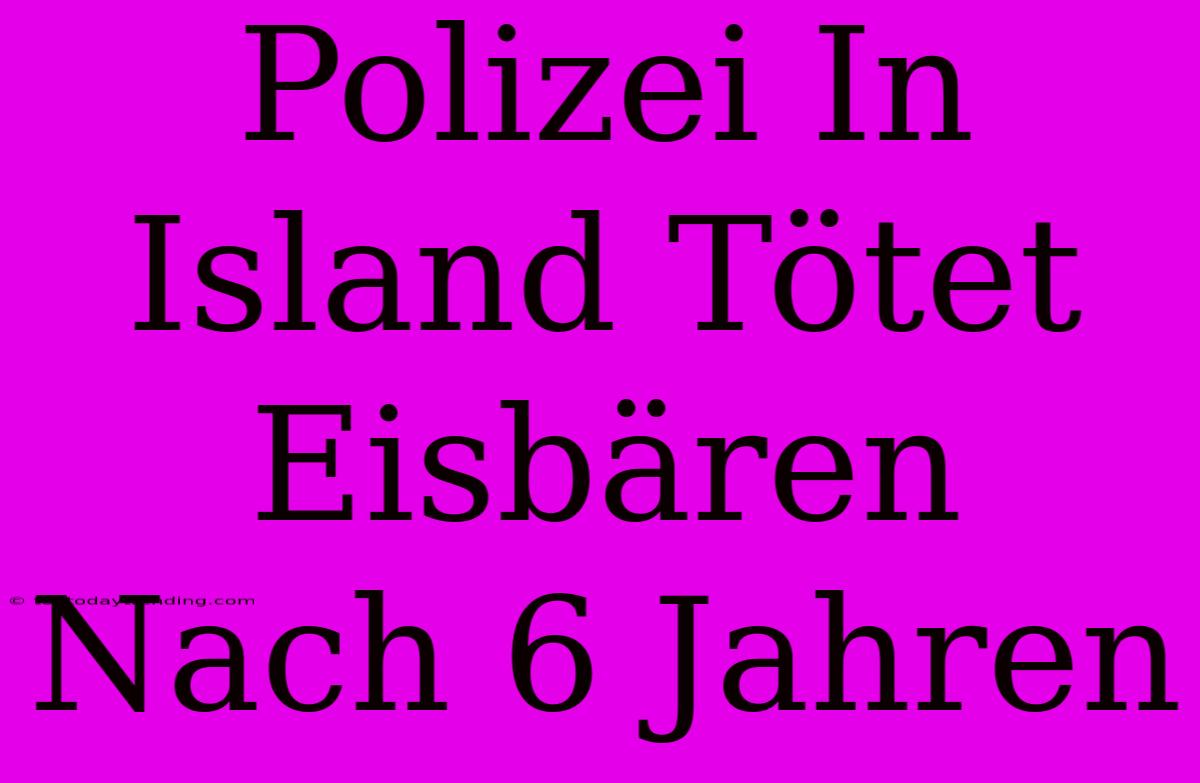 Polizei In Island Tötet Eisbären Nach 6 Jahren