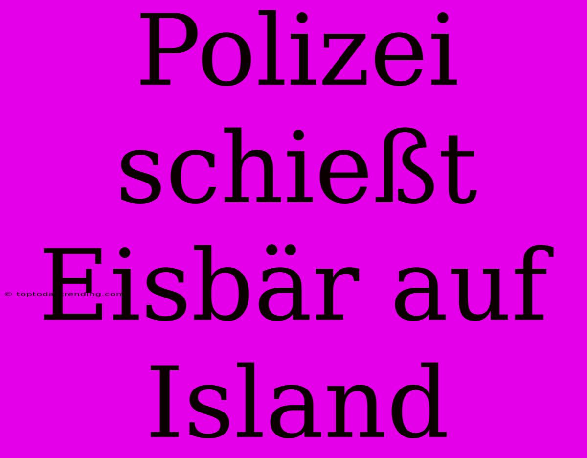 Polizei Schießt Eisbär Auf Island