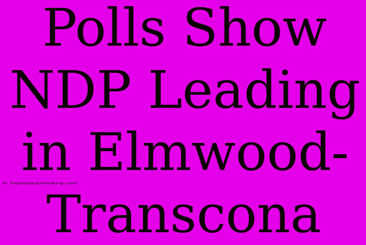 Polls Show NDP Leading In Elmwood-Transcona