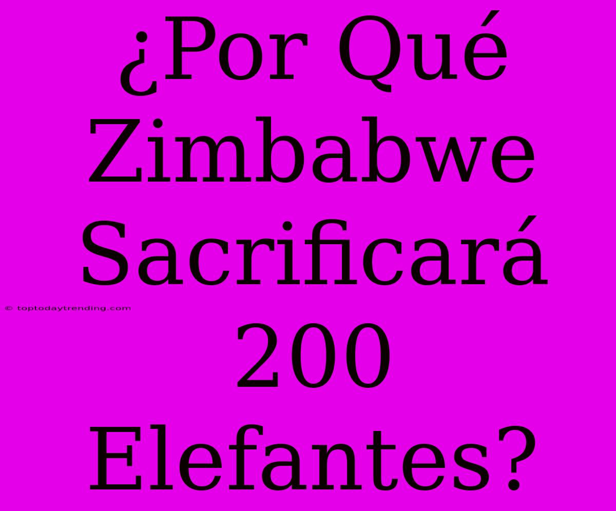 ¿Por Qué Zimbabwe Sacrificará 200 Elefantes?