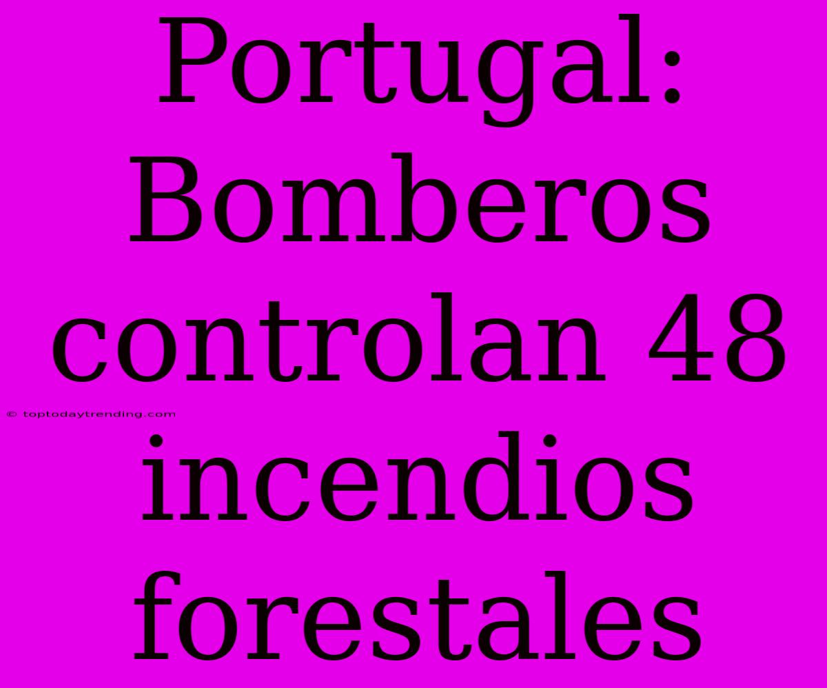 Portugal: Bomberos Controlan 48 Incendios Forestales