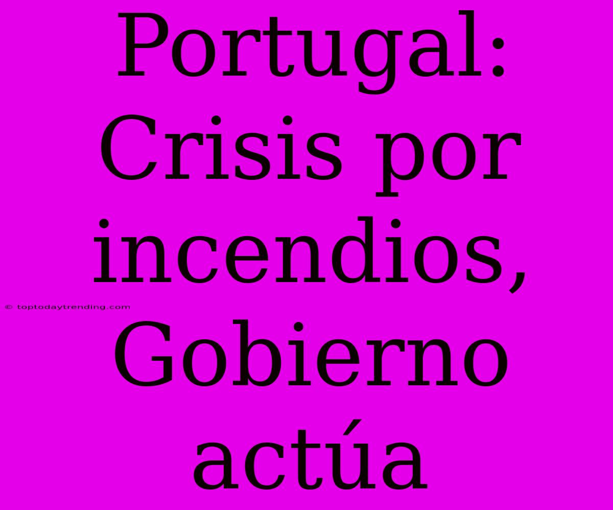 Portugal: Crisis Por Incendios, Gobierno Actúa