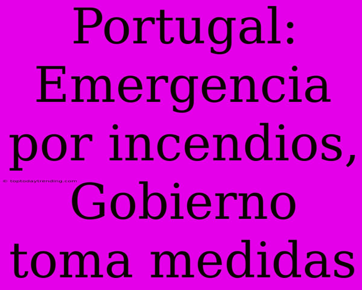 Portugal: Emergencia Por Incendios, Gobierno Toma Medidas