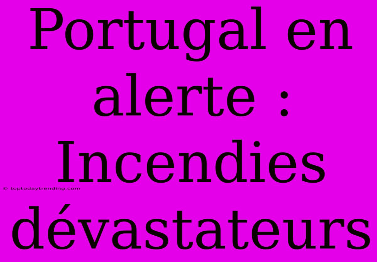 Portugal En Alerte : Incendies Dévastateurs