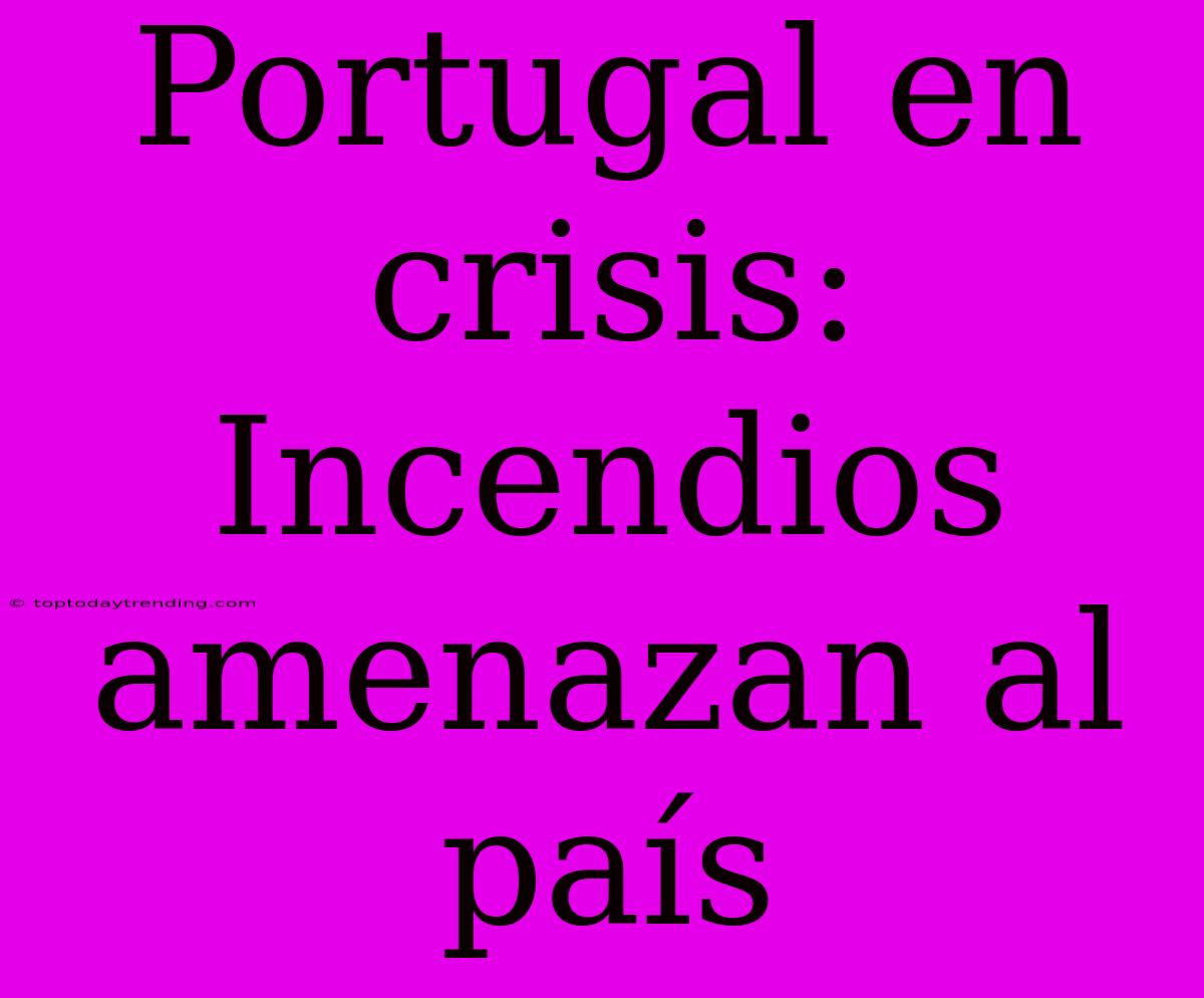 Portugal En Crisis: Incendios Amenazan Al País