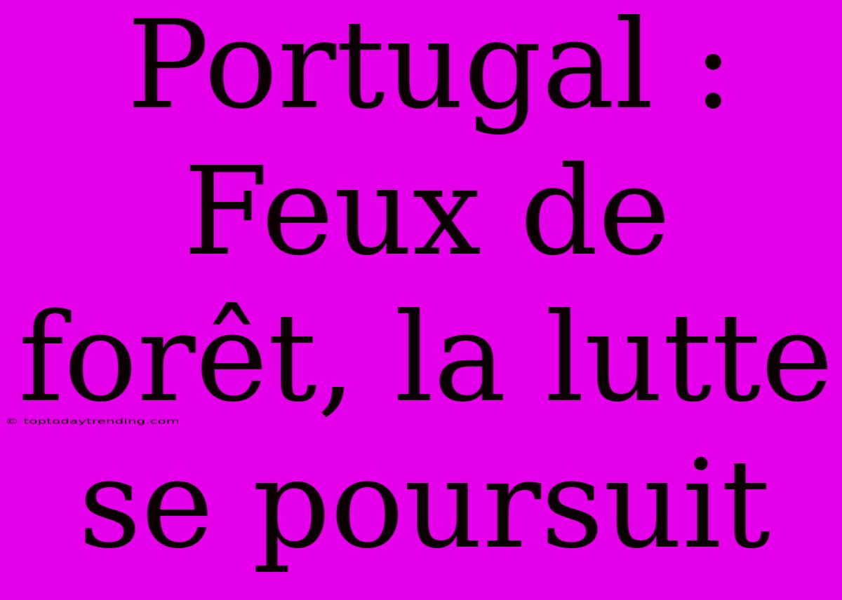 Portugal : Feux De Forêt, La Lutte Se Poursuit