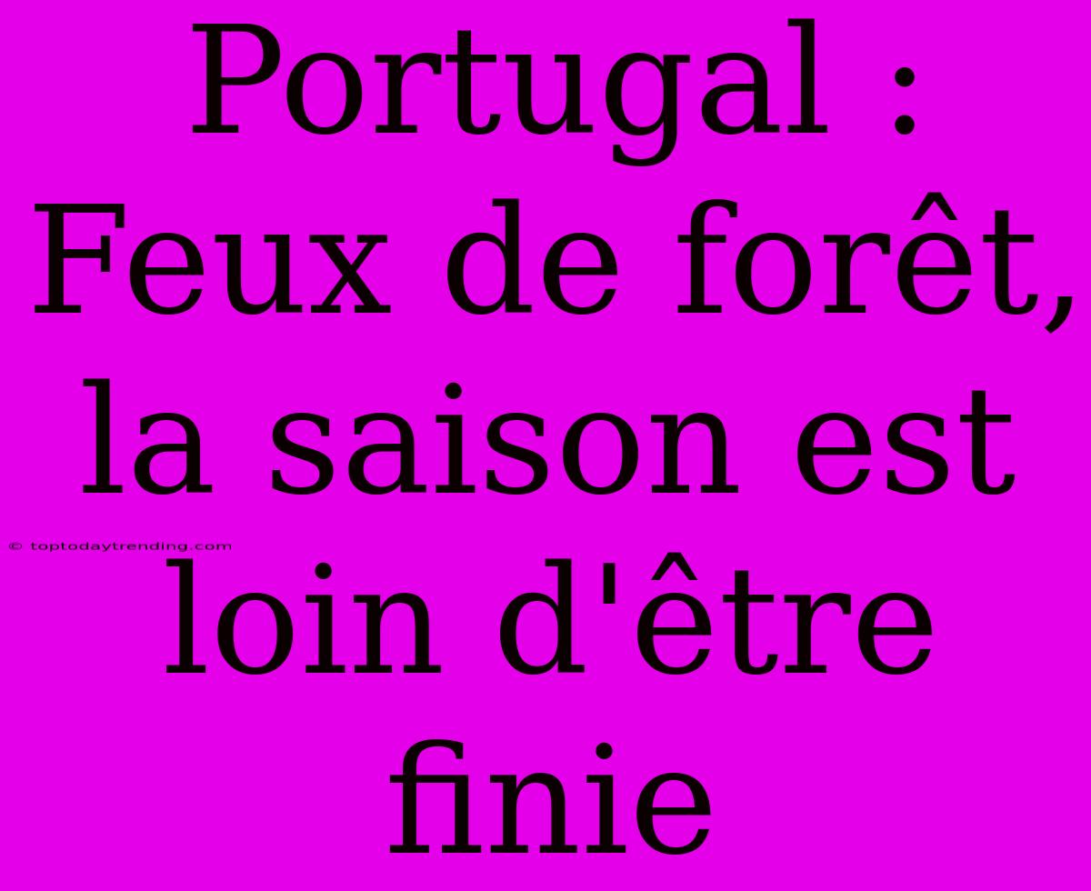 Portugal : Feux De Forêt, La Saison Est Loin D'être Finie