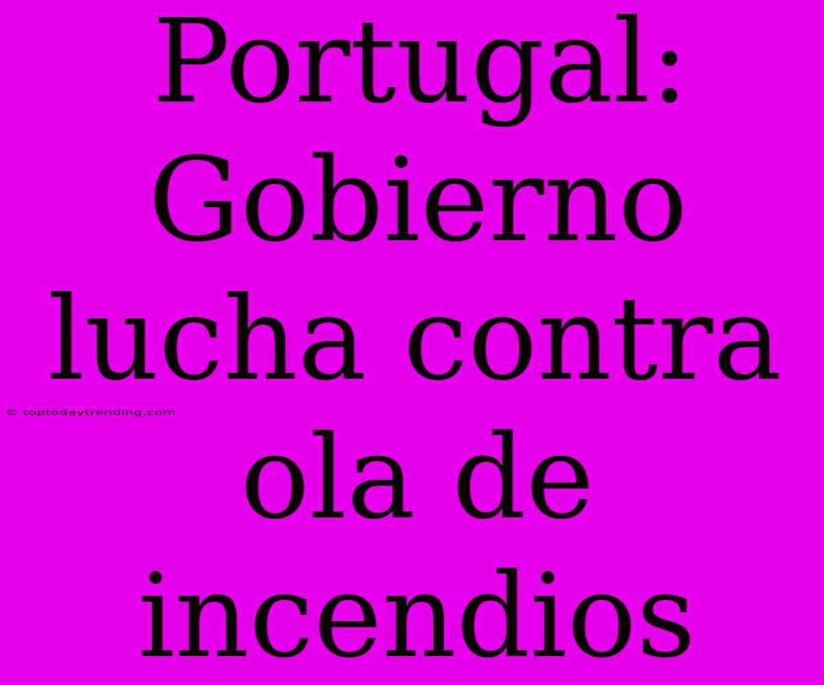 Portugal: Gobierno Lucha Contra Ola De Incendios