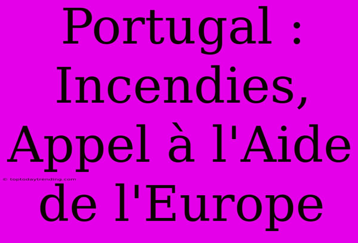 Portugal : Incendies, Appel À L'Aide De L'Europe