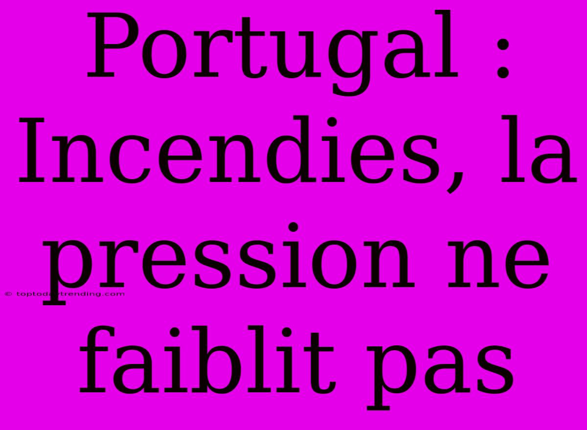 Portugal : Incendies, La Pression Ne Faiblit Pas