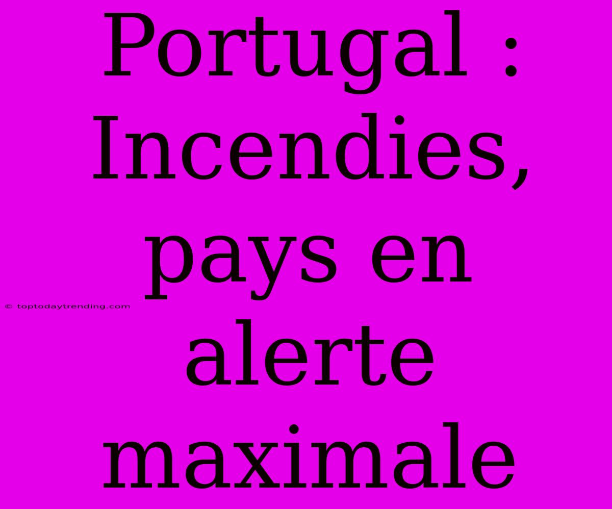 Portugal : Incendies, Pays En Alerte Maximale