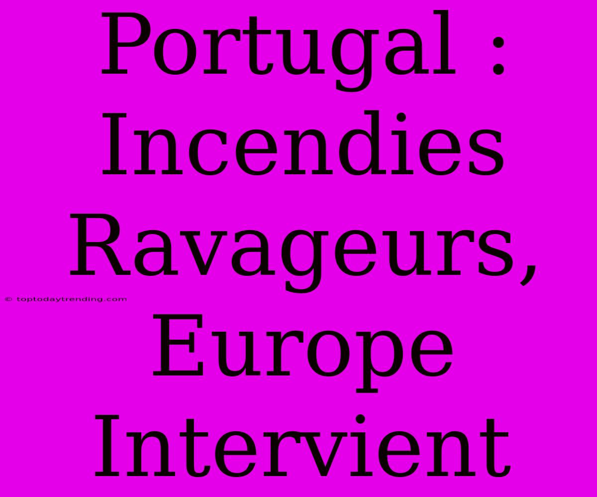 Portugal : Incendies Ravageurs, Europe Intervient