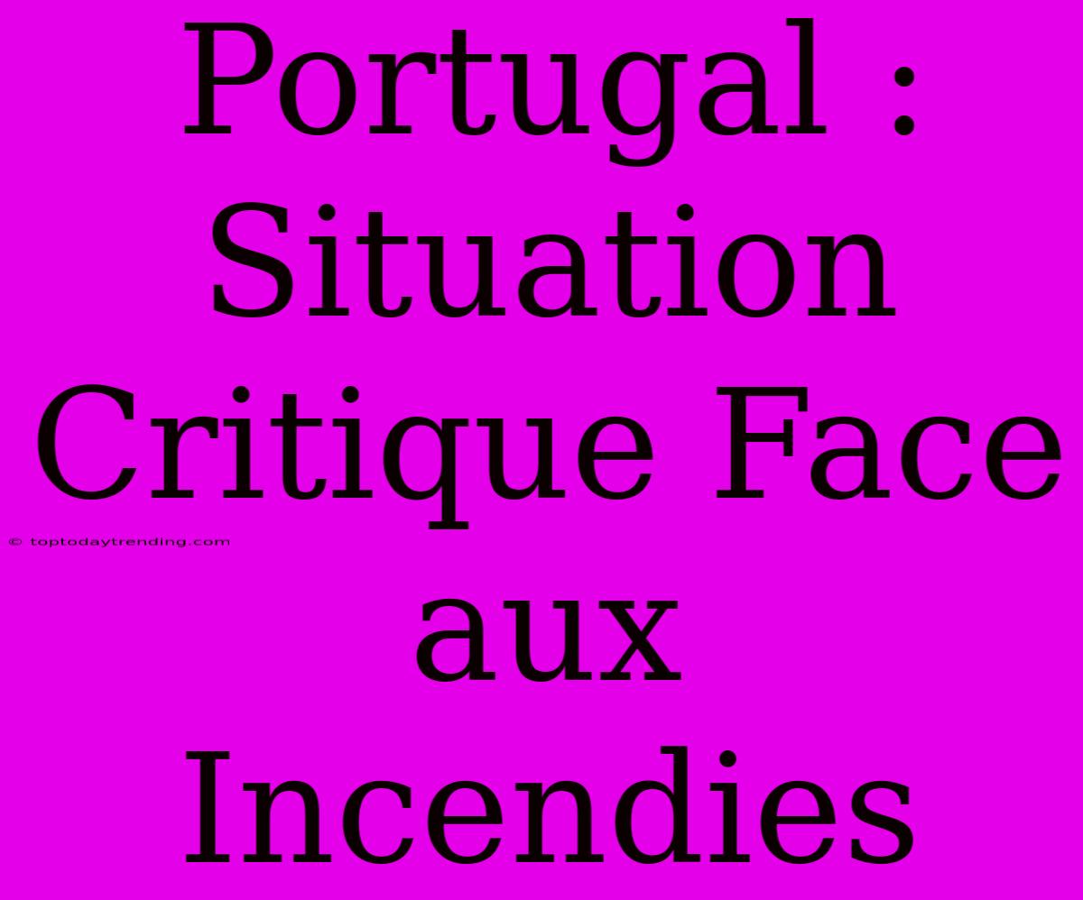 Portugal : Situation Critique Face Aux Incendies