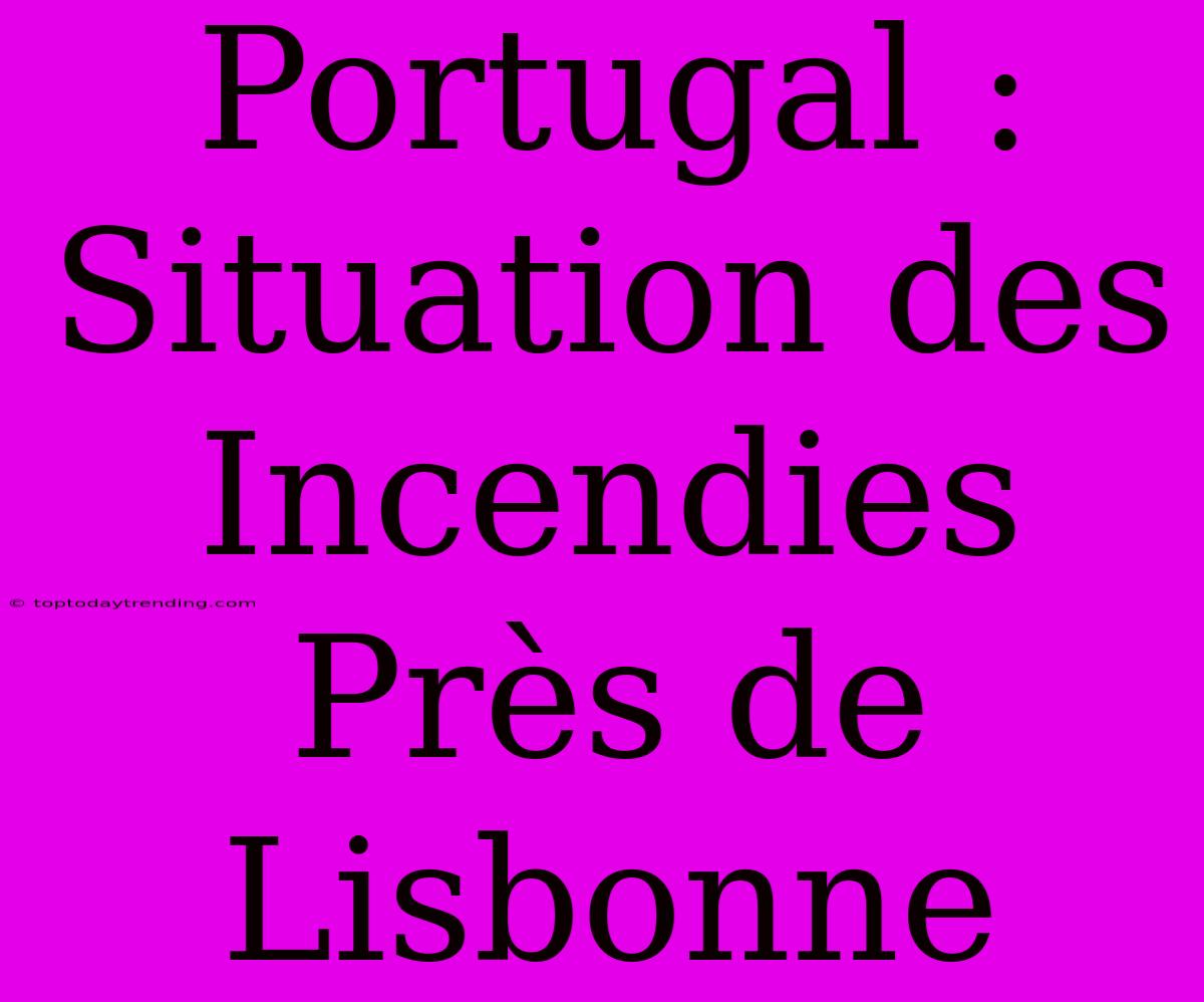 Portugal : Situation Des Incendies Près De Lisbonne