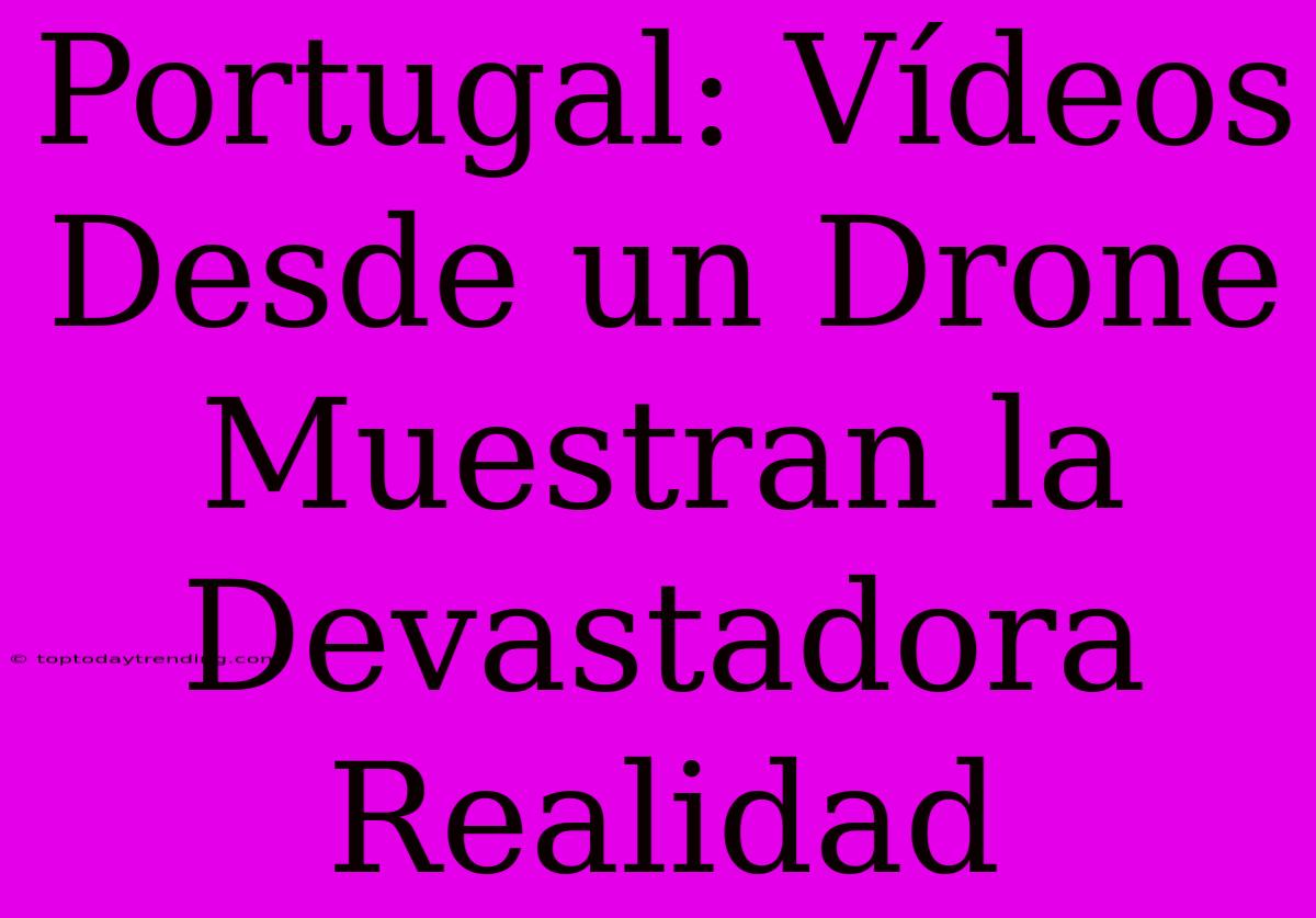 Portugal: Vídeos Desde Un Drone Muestran La Devastadora Realidad