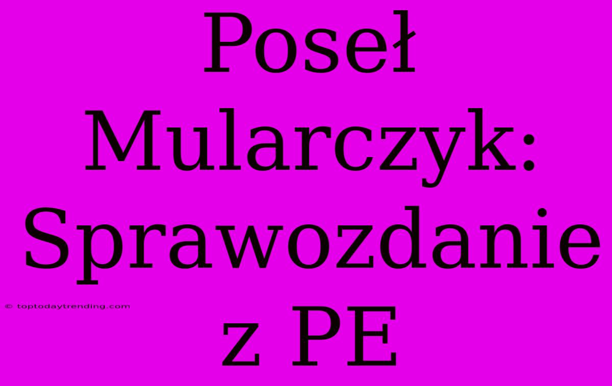 Poseł Mularczyk: Sprawozdanie Z PE