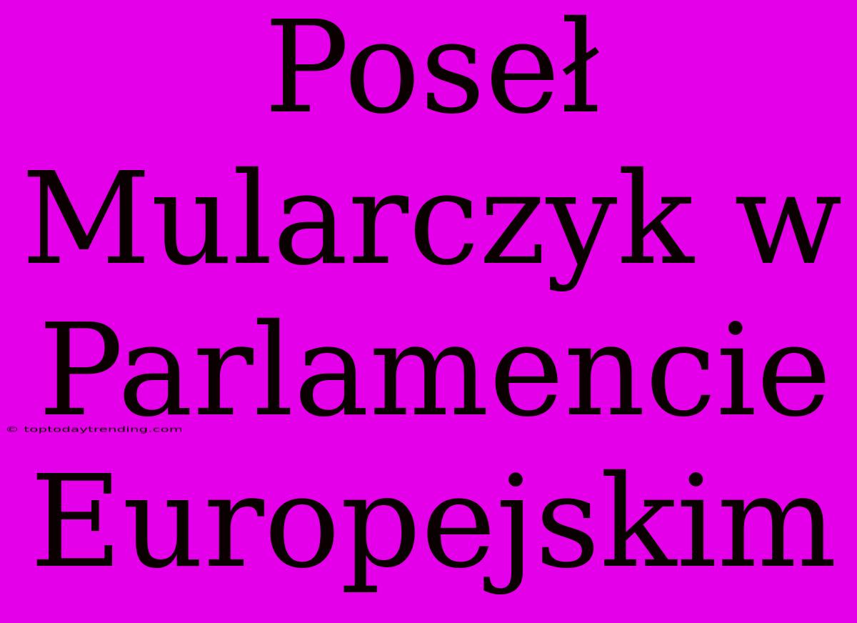 Poseł Mularczyk W Parlamencie Europejskim