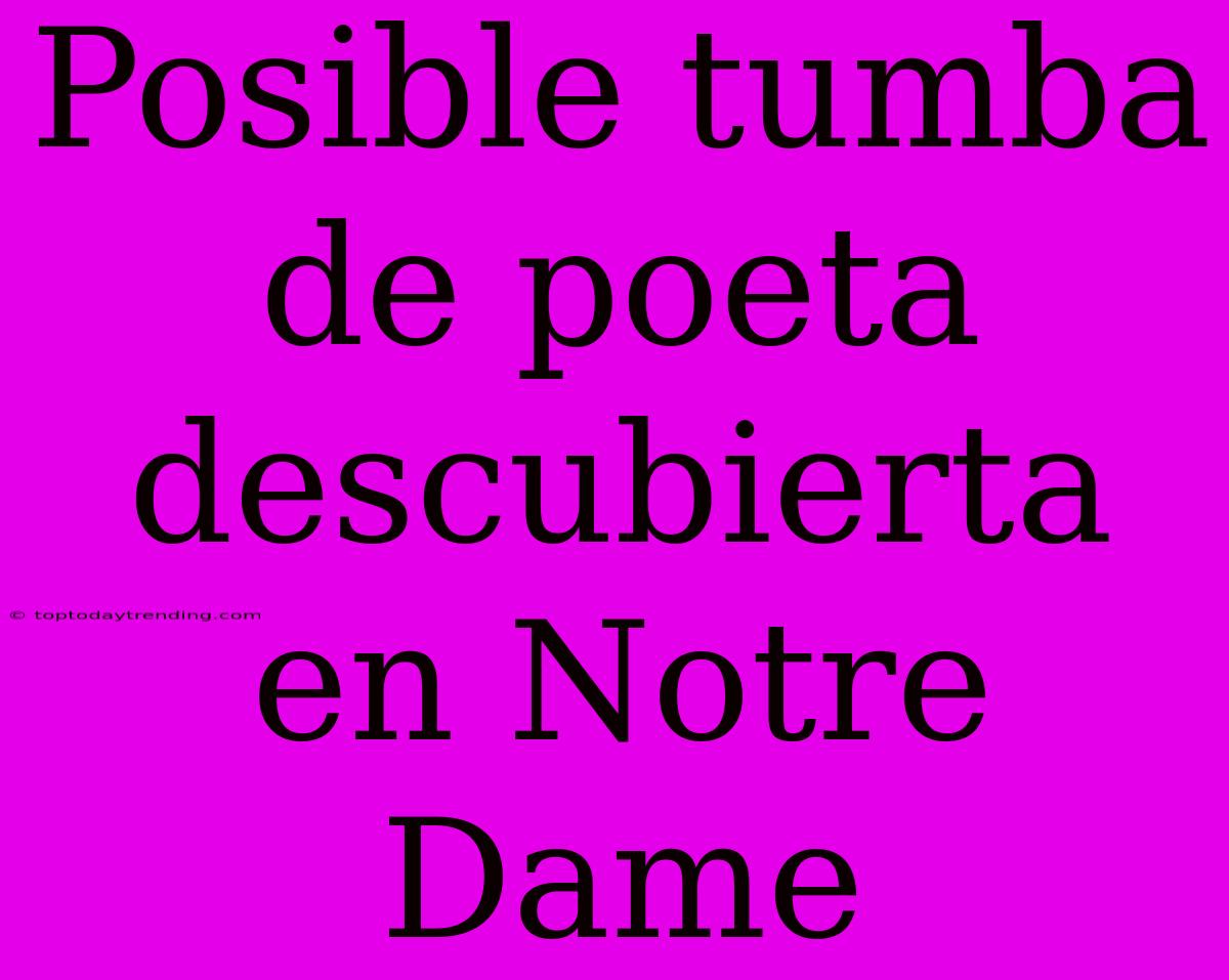 Posible Tumba De Poeta Descubierta En Notre Dame