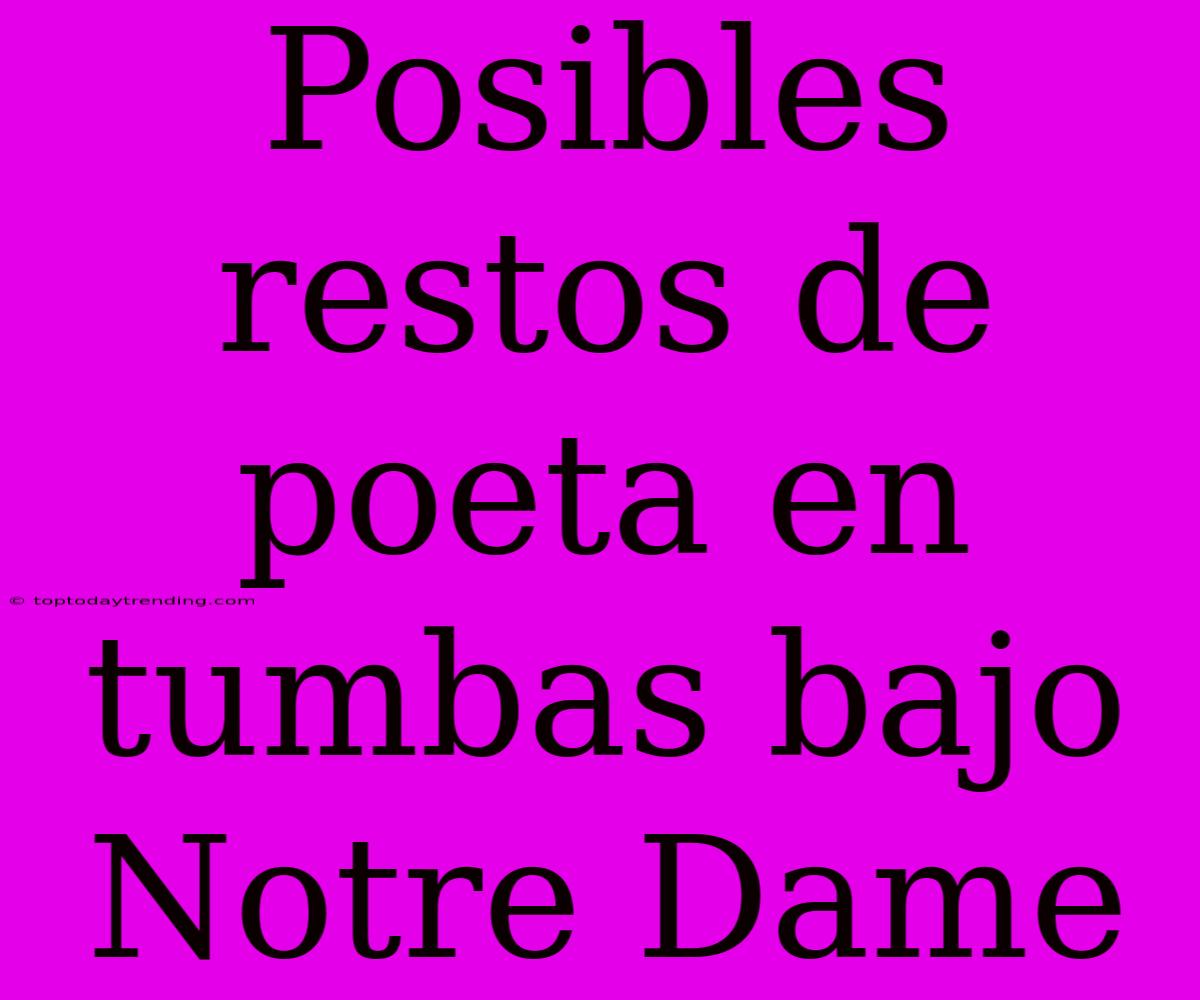 Posibles Restos De Poeta En Tumbas Bajo Notre Dame