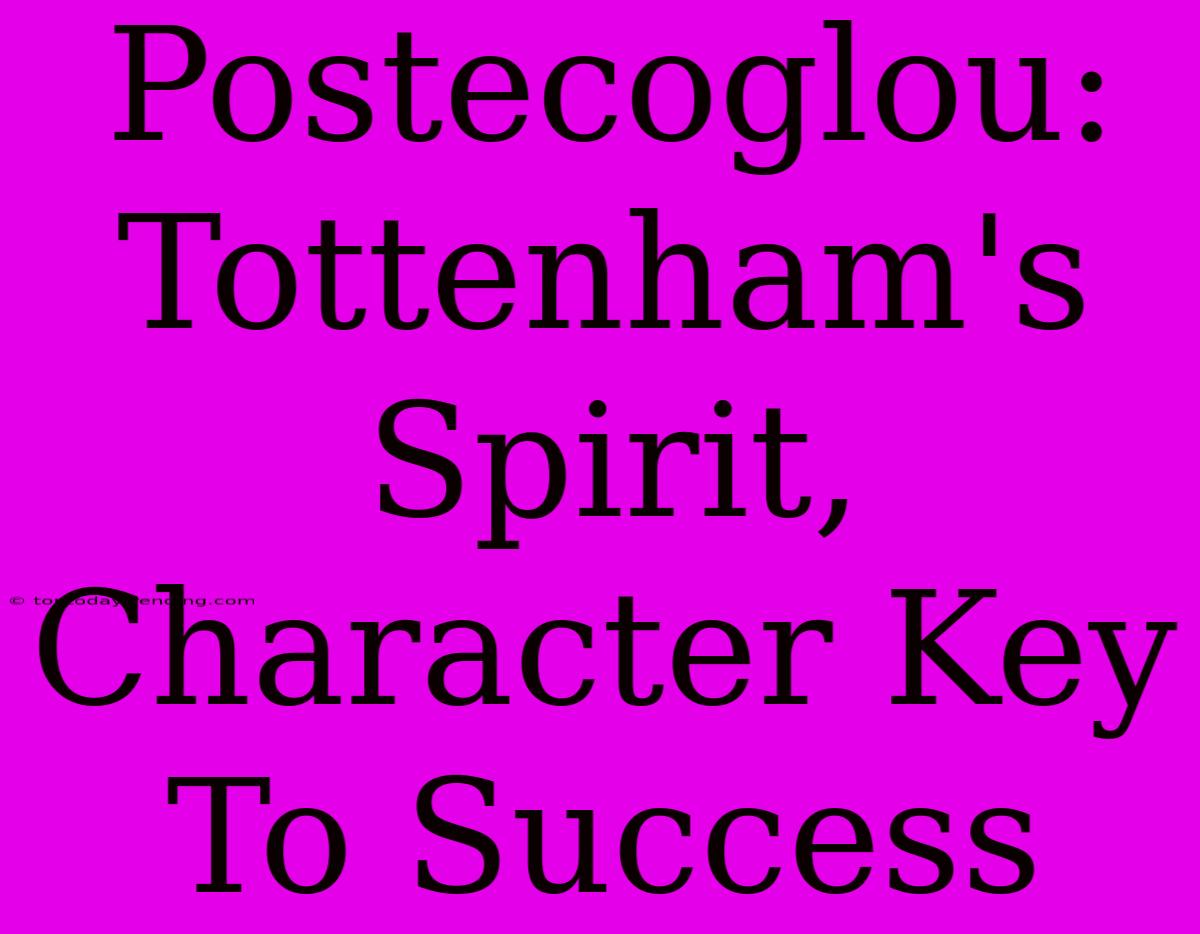 Postecoglou: Tottenham's Spirit, Character Key To Success