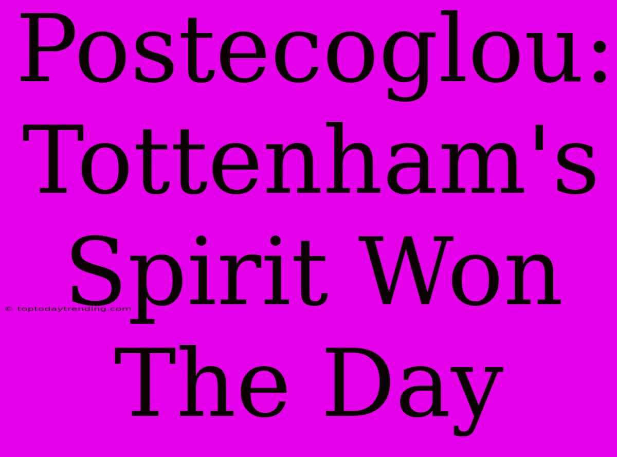 Postecoglou: Tottenham's Spirit Won The Day