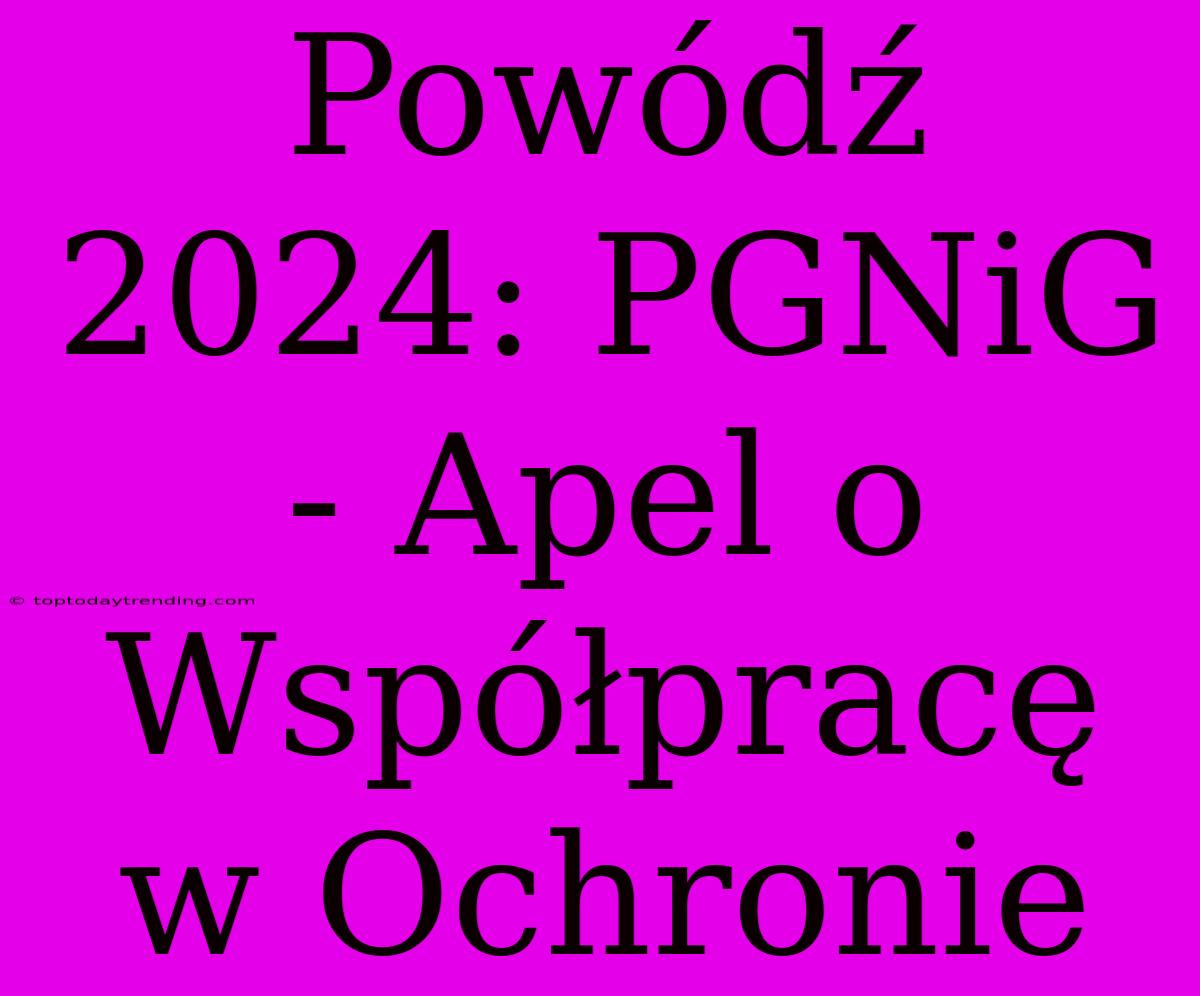 Powódź 2024: PGNiG - Apel O Współpracę W Ochronie