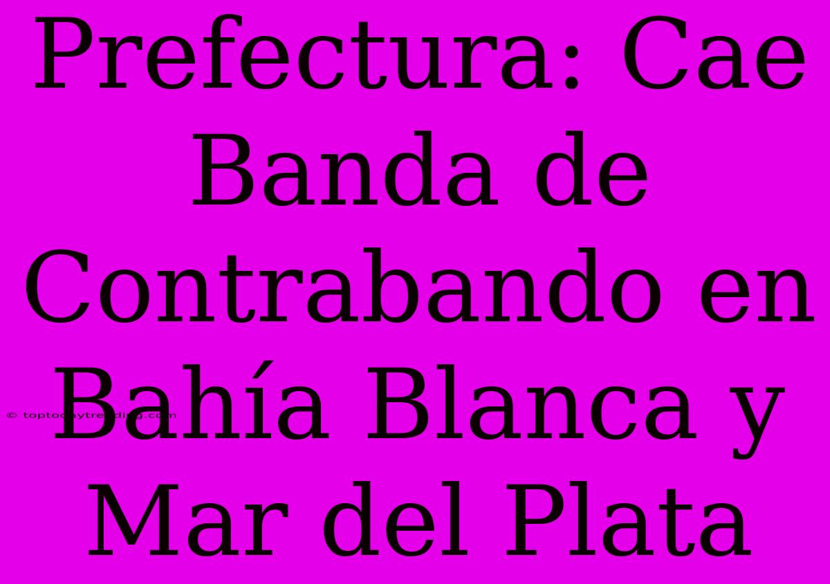 Prefectura: Cae Banda De Contrabando En Bahía Blanca Y Mar Del Plata