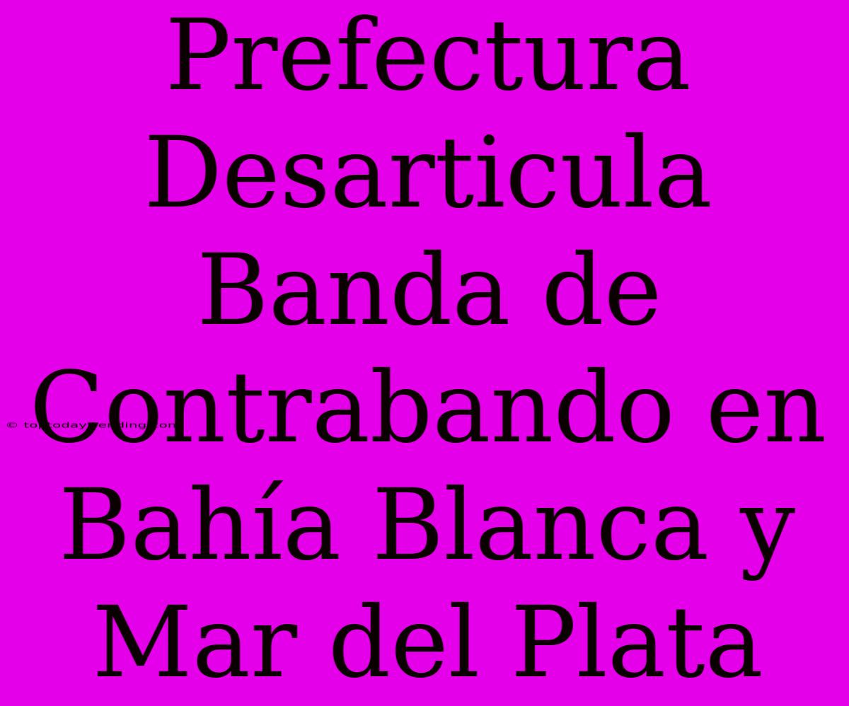 Prefectura Desarticula Banda De Contrabando En Bahía Blanca Y Mar Del Plata