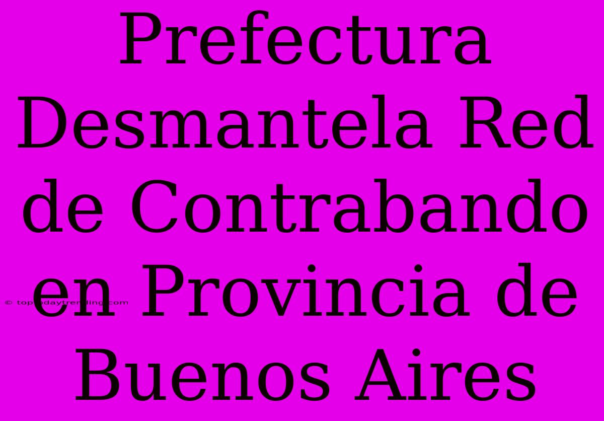 Prefectura Desmantela Red De Contrabando En Provincia De Buenos Aires