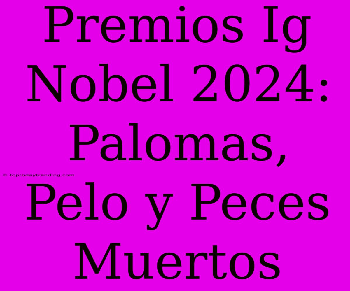 Premios Ig Nobel 2024: Palomas, Pelo Y Peces Muertos