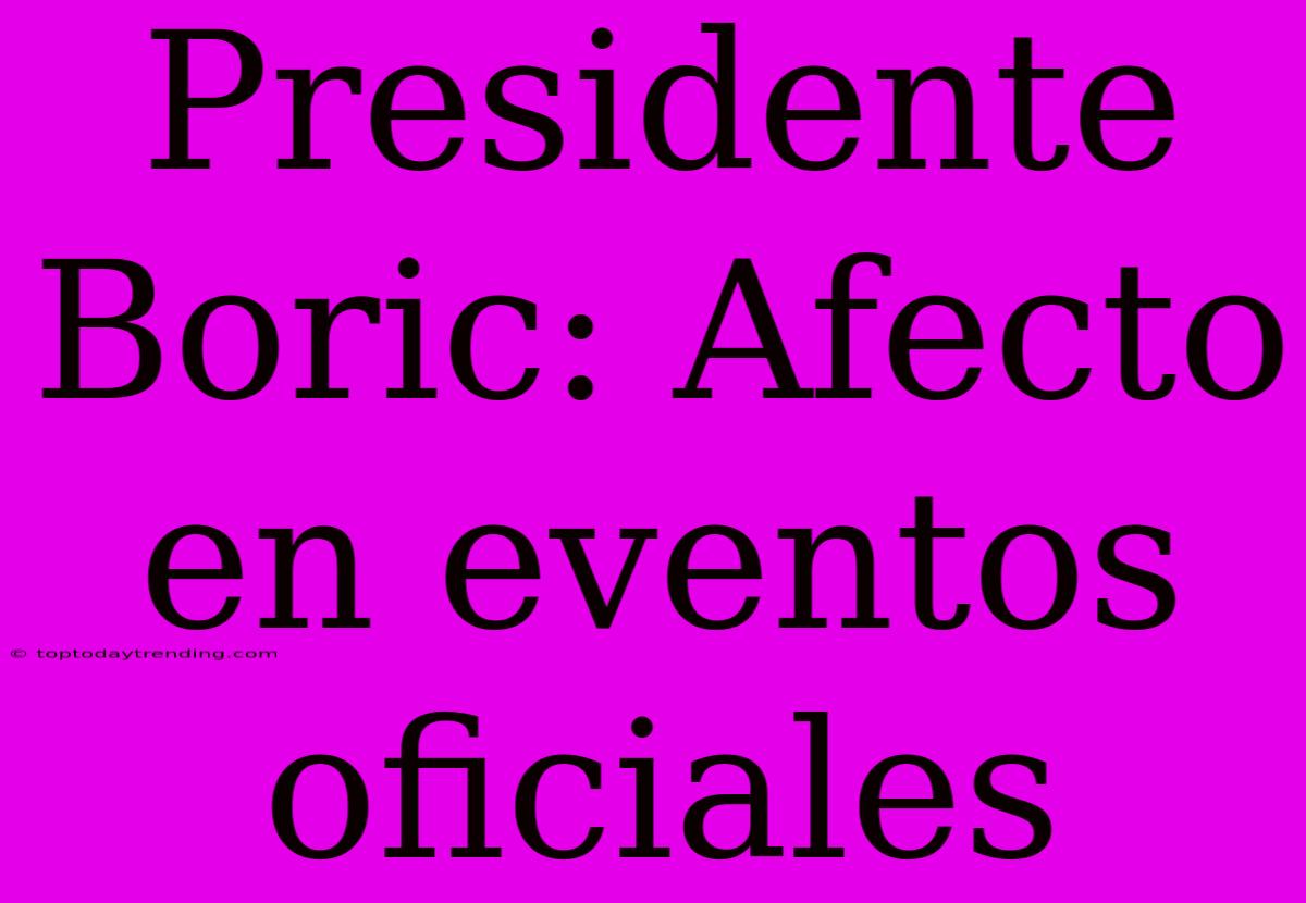 Presidente Boric: Afecto En Eventos Oficiales