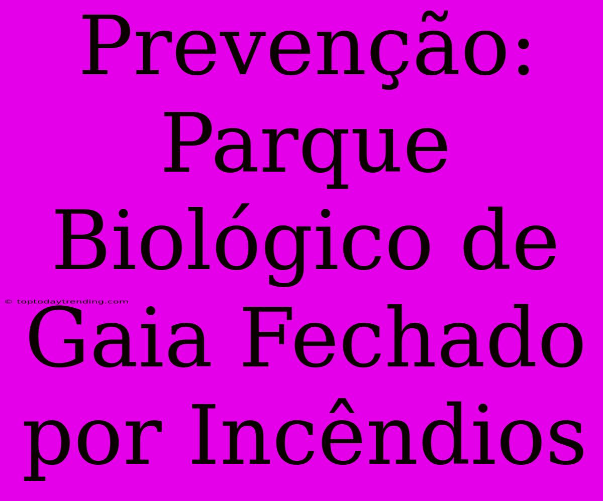 Prevenção: Parque Biológico De Gaia Fechado Por Incêndios