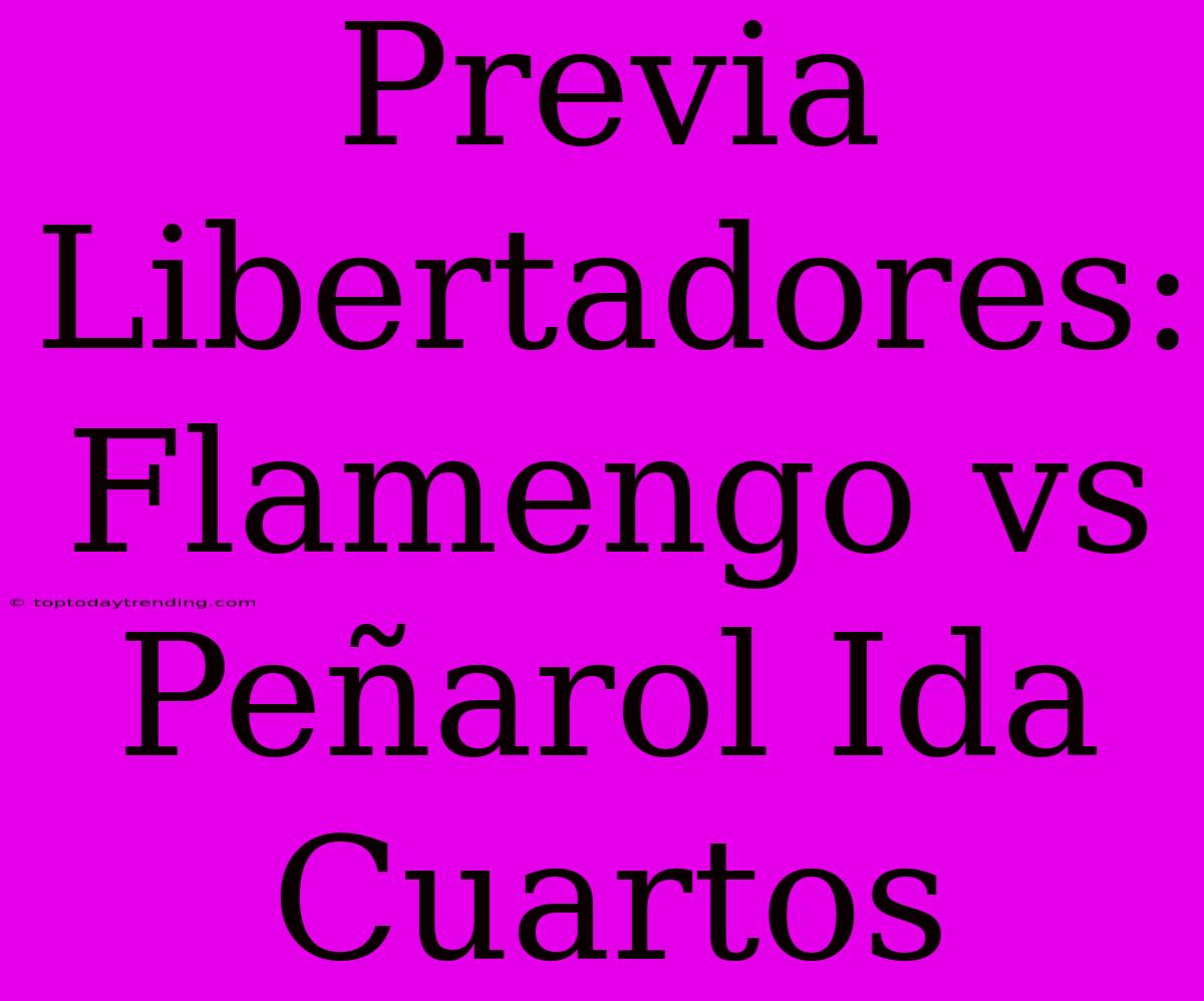 Previa Libertadores: Flamengo Vs Peñarol Ida Cuartos