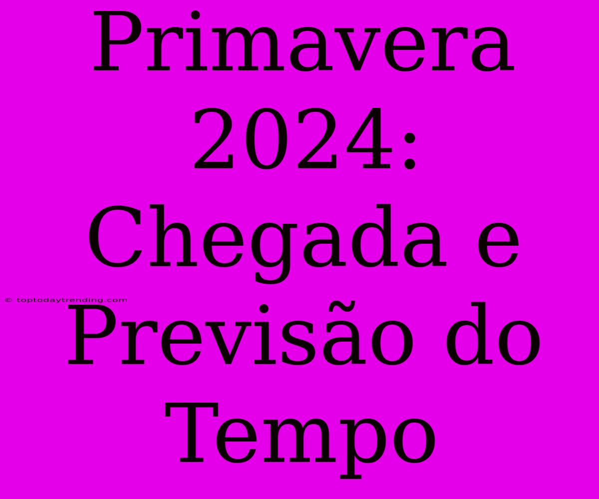 Primavera 2024: Chegada E Previsão Do Tempo