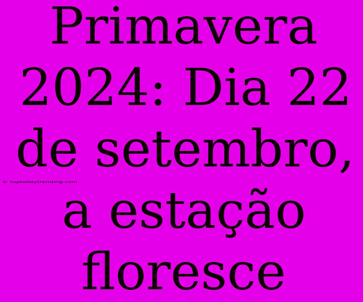 Primavera 2024: Dia 22 De Setembro, A Estação Floresce