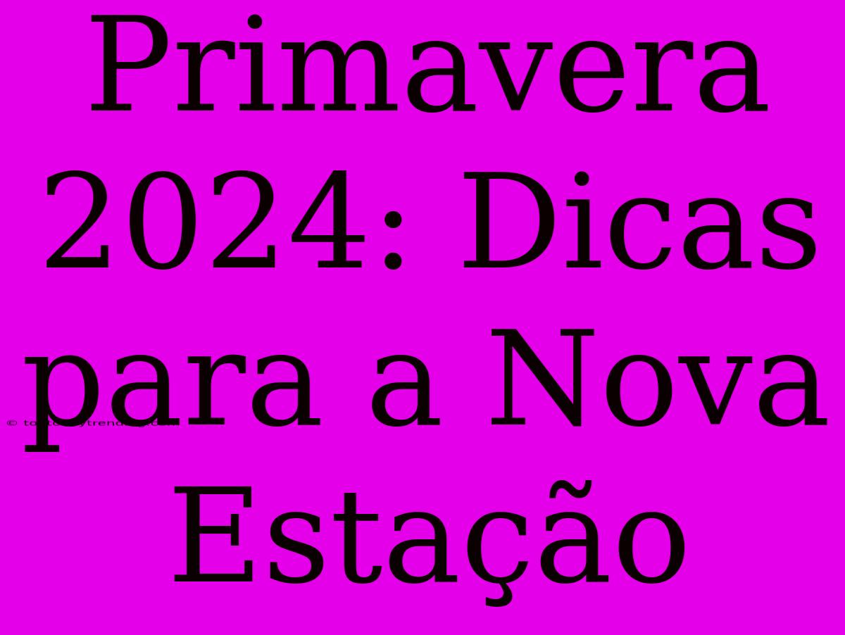 Primavera 2024: Dicas Para A Nova Estação