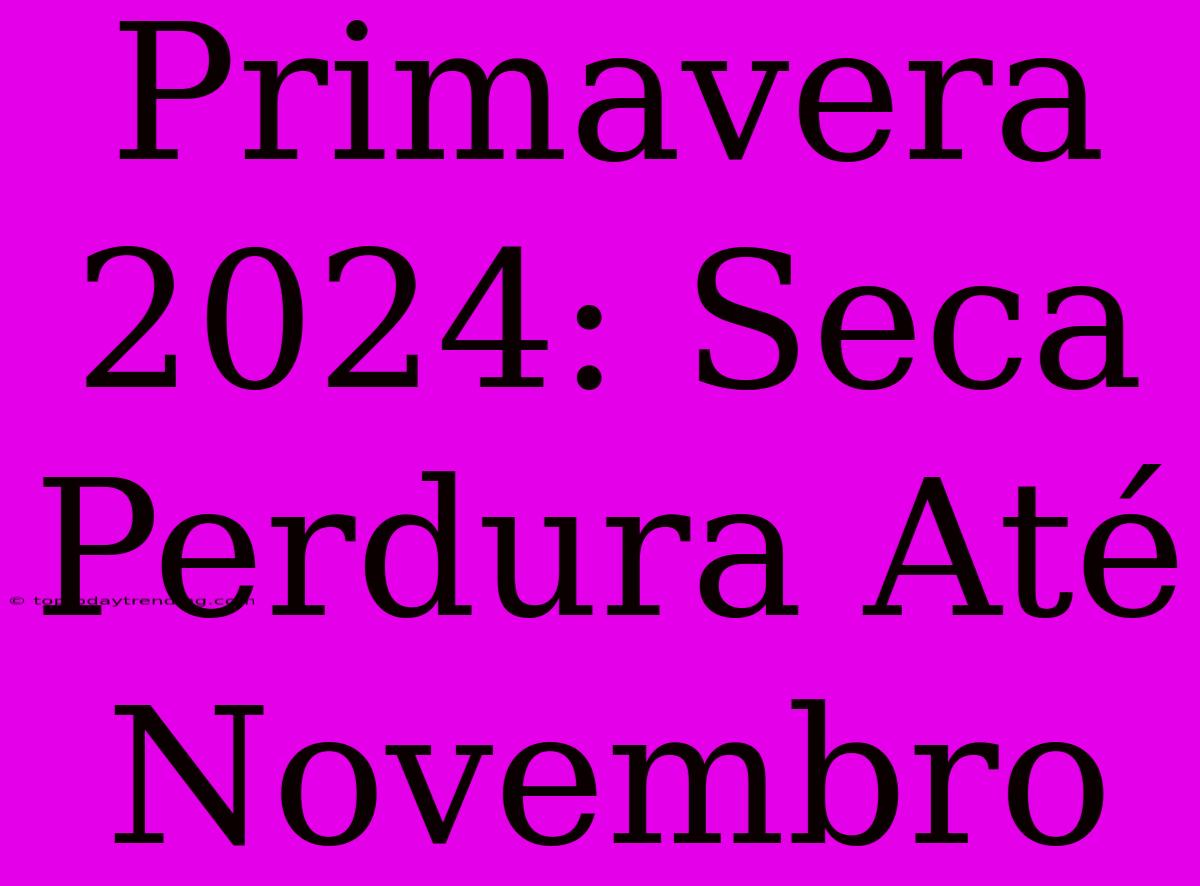 Primavera 2024: Seca Perdura Até Novembro