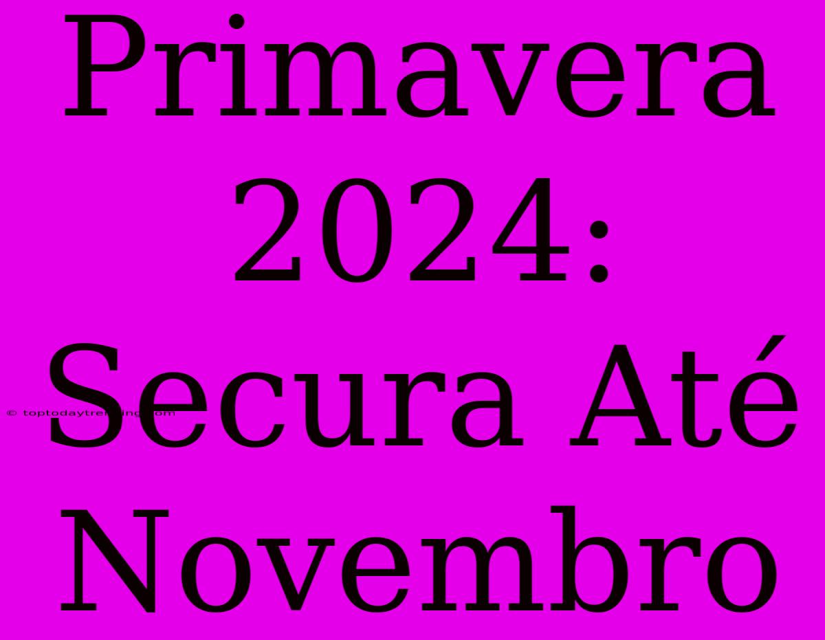 Primavera 2024: Secura Até Novembro